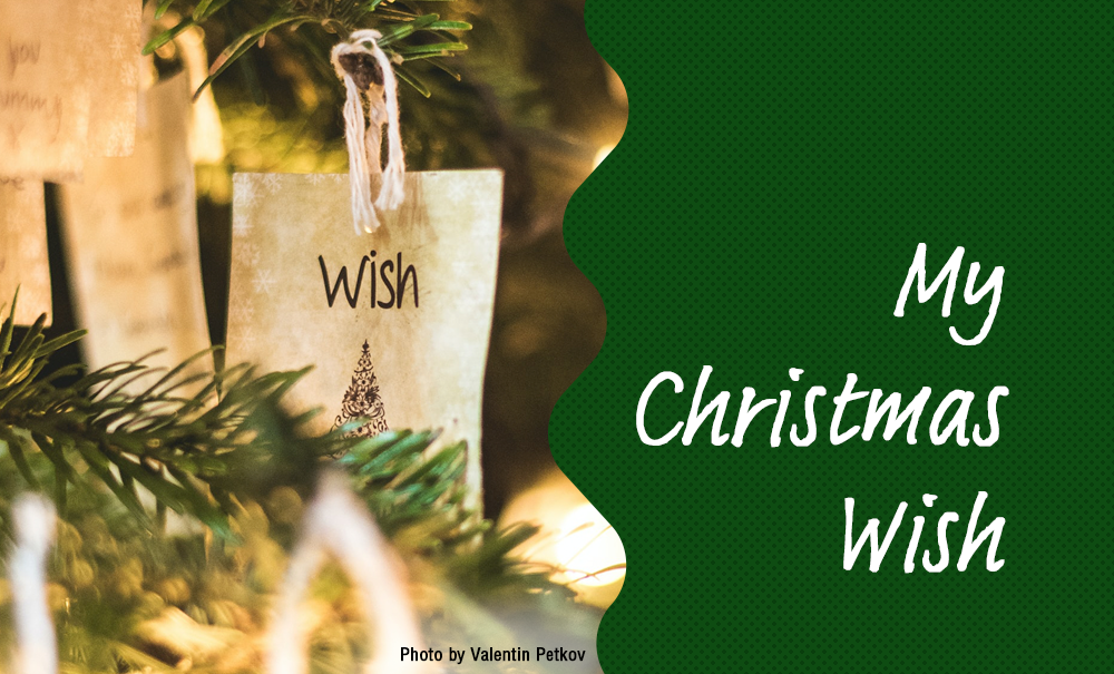 A tag hangs from a christmas tree reading wish with the title My Christmas Wish beside it.